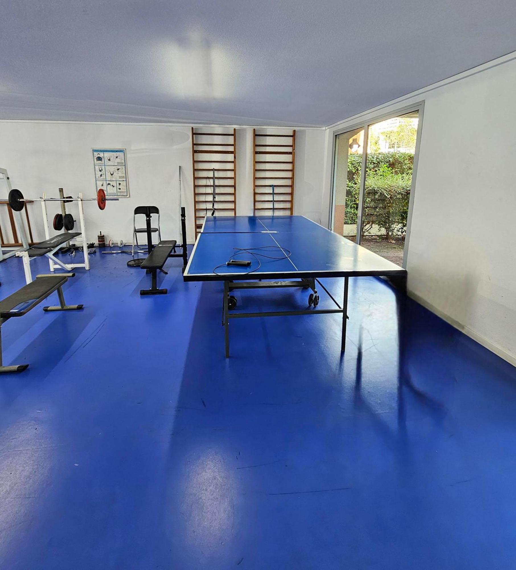 T2 Havre De Paix 2 A 4 P - Terrasse - Parking - Piscine - Salle Sport - Tennis Toulouse Eksteriør bilde